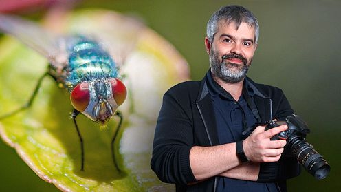 Introdução à fotografia macro